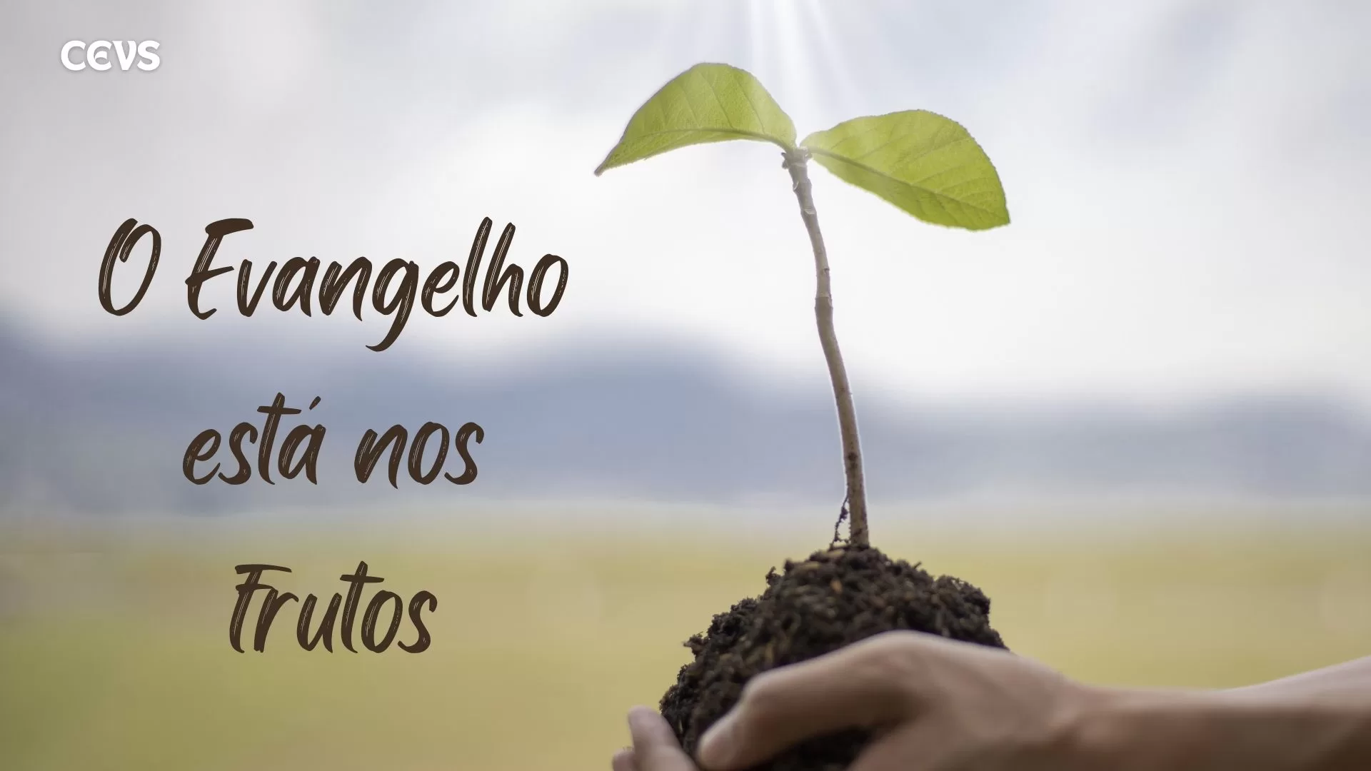 Realmente foram enviados