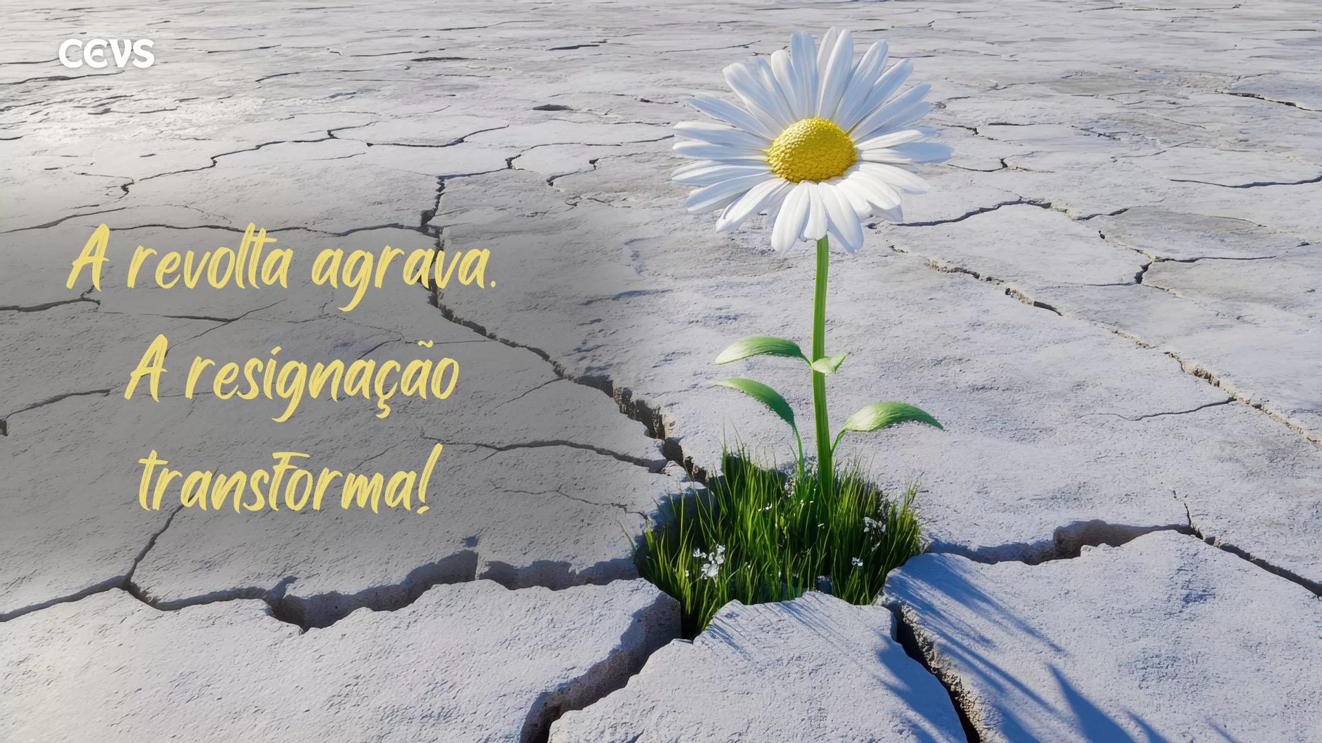 Contrai Nova Dívida